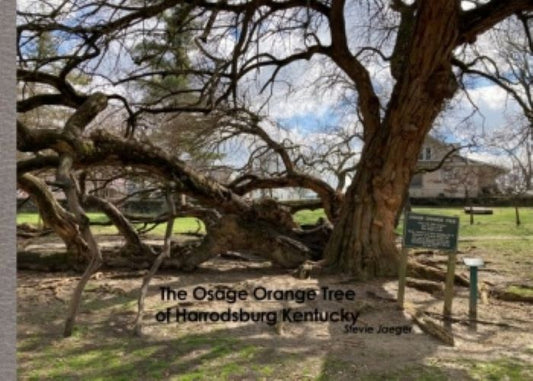 Photobook:  The Osage Orange Tree of Harrodsburg Kentucky