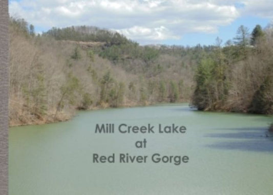 Photobook:  Mill Creek Lake at Red River Gorge